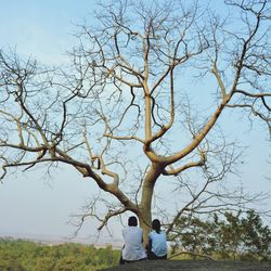 Rear view of people standing by bare tree against sky