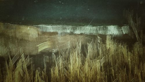 Full frame shot of white background