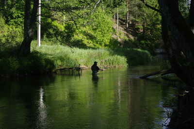 View of ducks in lake