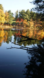 Reflection of trees in lake against sky