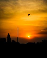 Silhouette birds flying against orange sky