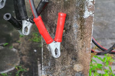 Close-up of chain hanging on tree trunk