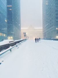Person standing on snow covered landscape