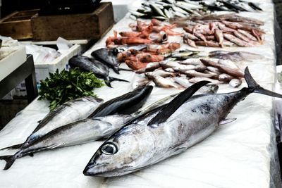 High angle view of various fishes for sale at market stall