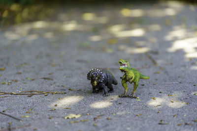 High angle view of toy dinosaurs posed on a lakefront 