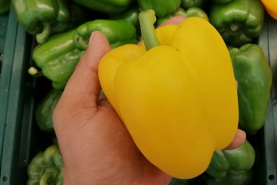 Close-up of hand holding yellow bell peppers at market