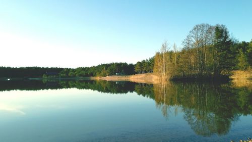 Scenic view of lake in forest against clear sky