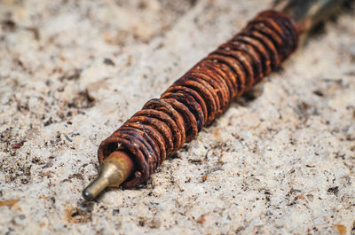 Inside the old pen with rust on the spring and placed on the cement floor.