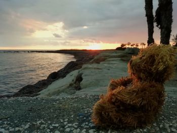 Scenic view of beach during sunset