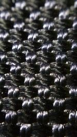 Close-up of illuminated water at night