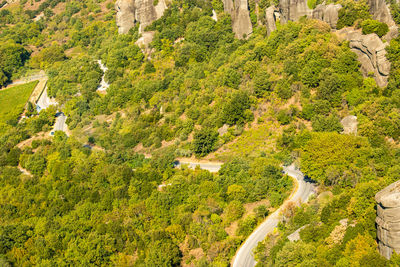 High angle view of road amidst trees