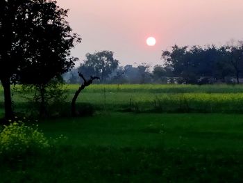 Scenic view of field against sky during sunset