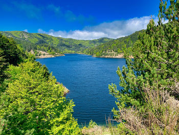 Scenic view of sea against blue sky