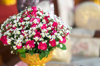 Close-up of flowers against blurred background