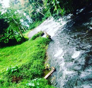 Scenic view of waterfall