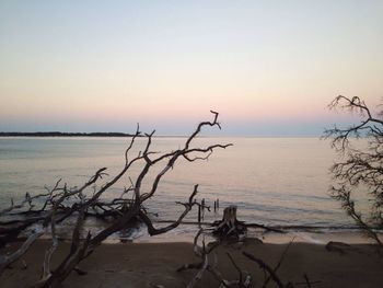 Scenic view of sea at sunset