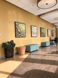 Potted plant on tiled floor