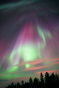 Low angle view of aurora borealis against sky at night