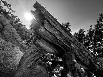 Low angle view of old ruins against sky
