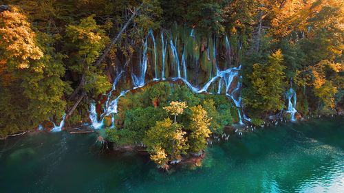 High angle view of river amidst trees in forest