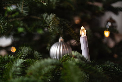 Close-up of illuminated christmas tree