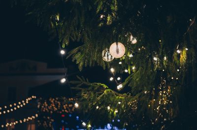 Low angle view of illuminated christmas tree at night