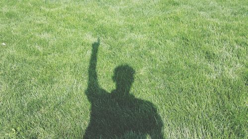 Shadow of people on grass