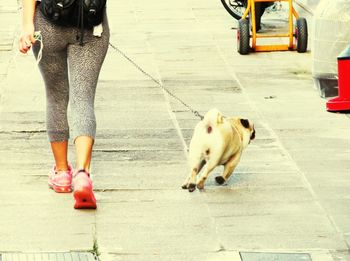 Low section of person with dog on street in city