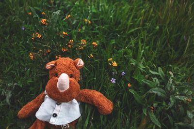 Close-up of stuffed toy on field