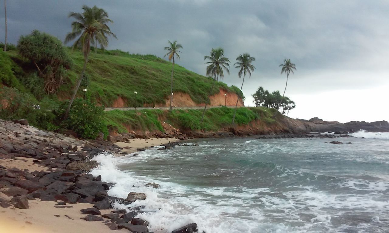 water, sea, sky, beach, tree, palm tree, rock - object, scenics, beauty in nature, tranquil scene, shore, tranquility, nature, horizon over water, cloud - sky, growth, coastline, rock formation, wave, rock