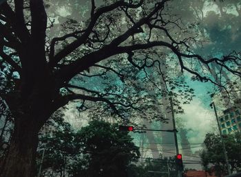 Low angle view of trees against sky