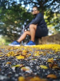 Man sitting on yellow leaves