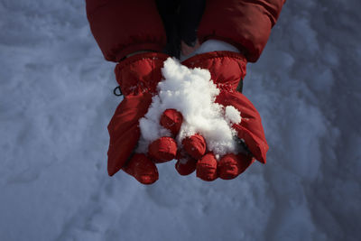 Low section of person holding heart