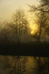 Silhouette of bare trees in lake during sunset