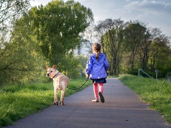 Rear view of girl with dog walking on footpath against trees