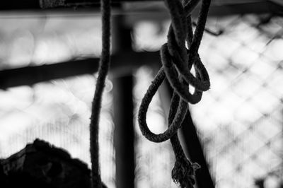 Close-up of rope tied to metal chain