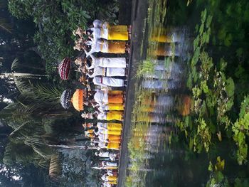 High angle view of flowering plants by river