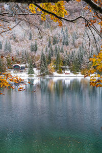 Reflection of trees on lake during autumn