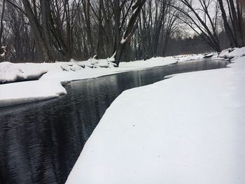 Snow covered trees on field