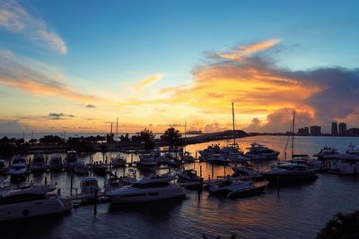 Sailboats in marina at sunset