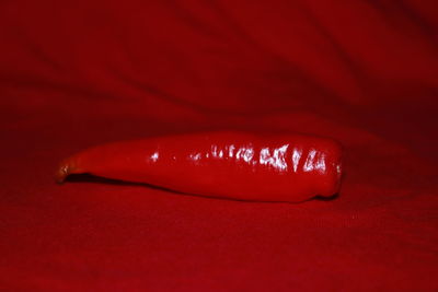 Close up of red rose