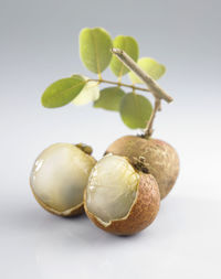 Close-up of fruits against white background