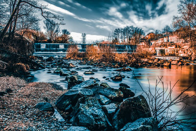 Plants by lake against sky during winter