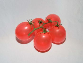 High angle view of tomatoes against white background