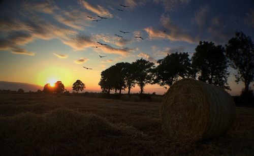 Scenic view of landscape at sunset