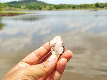 Close-up of hand holding leaf against lake