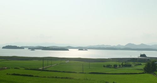 Scenic view of field by sea against clear sky