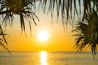 Beautiful landscape with sunset at tropical beach with palm trees