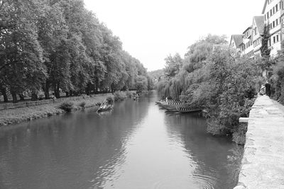 Reflection of trees in water