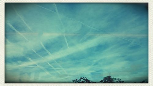 Low angle view of trees against blue sky